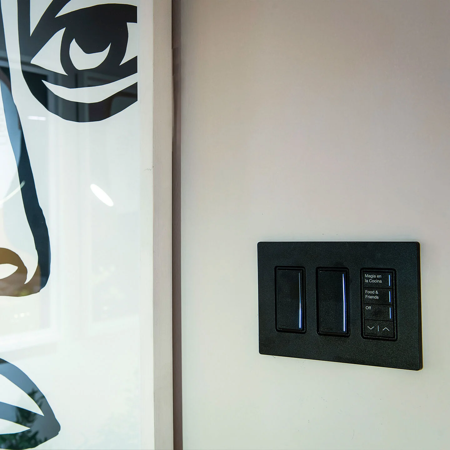 Black Lutron Sunnata controls installed together in a multi-gang wallplate